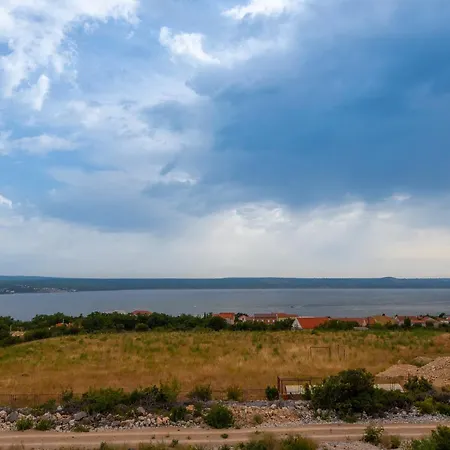 Olive Bridge فيلة *